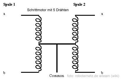 stepper5draehte.gif